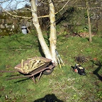 DSCN2488