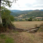 DSCN7206