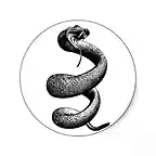 serpiente_de_cascabel