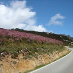 DSCN9004