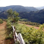 DSCN4391
