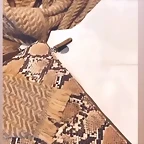 Video Marhaya Guerrer IG Stories 24-12-2020 (3)