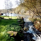 DSCN1071