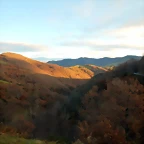 DSCN3348