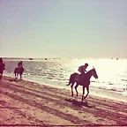 Mar?a twitter 22-8-2014