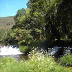 DSCN6608