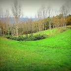 32-IMG_3890