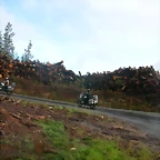 DSCN1573