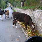 DSCN1620