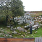 DSCN1529
