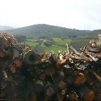 DSCN1574
