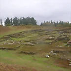 DSCN1598
