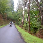 DSCN1551