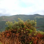 DSCN1583