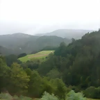 DSCN1555