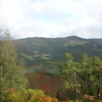 DSCN1582