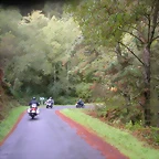 DSCN1537