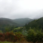 DSCN1554