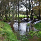 DSCN6225
