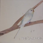 CIMG0854