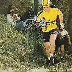 HINAULT,CICROCOOS