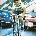 HINAULT GIRO 1980