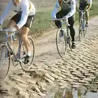 1981-ROUBAIX-HINAULT-IVON BERTIN-BERNARD QUILFEN.