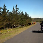 DSCN6545