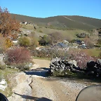 DSCN6896
