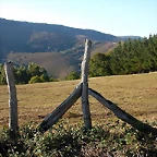 DSCN7929