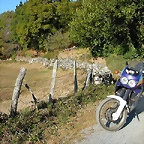 DSCN7930