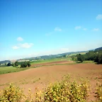 DSCN6159