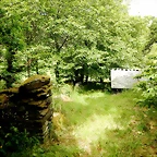 DSCN4349