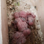 20190622_170226