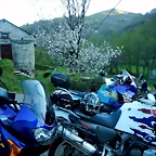 DSCN9147
