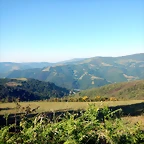 DSCN4722