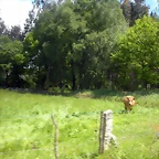 DSCN5364