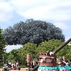 DSCF3147
