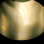 DSCN2619