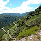 DSCN7860