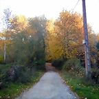 DSCN8993