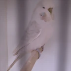 P2270037