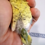 20190704_145734