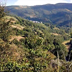 DSCN9210