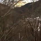 Video Hugo IG Stories 1-2-2017 (5)