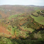 DSCN0550