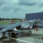 British_Aerospace_Sea_Harrier_FRS1,_UK_-_Navy_AN0769319