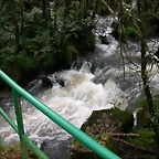 DSCN5755