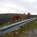 reglaje 034