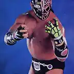 cibernetico